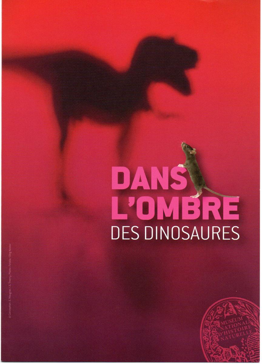 A la sombra de los dinosaurios