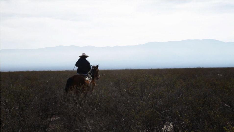 Al fin del desierto (C)