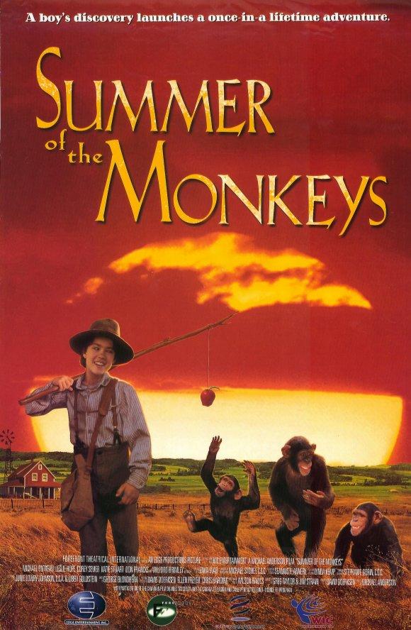 El verano de los monos