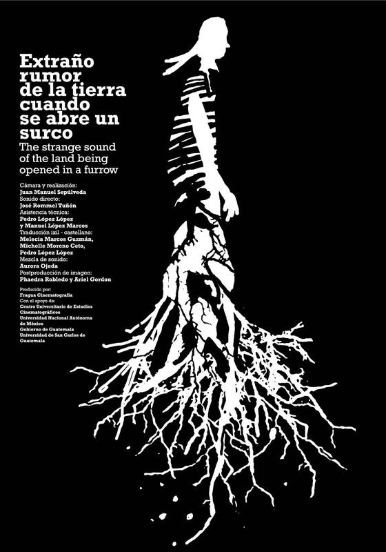 Extraño rumor de la tierra cuando se abre un surco (C)