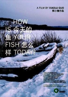 How Is Your Fish Today?
