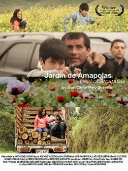 Jardín de amapolas