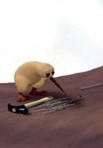 Kiwi!