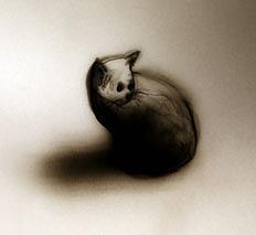 Life and Death of a Bird