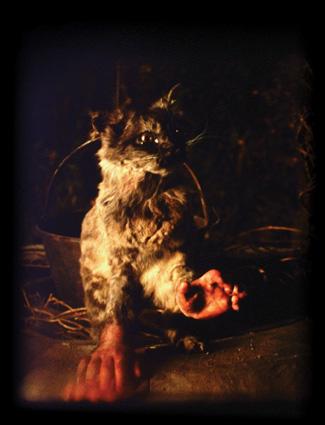 The Cat with Hands