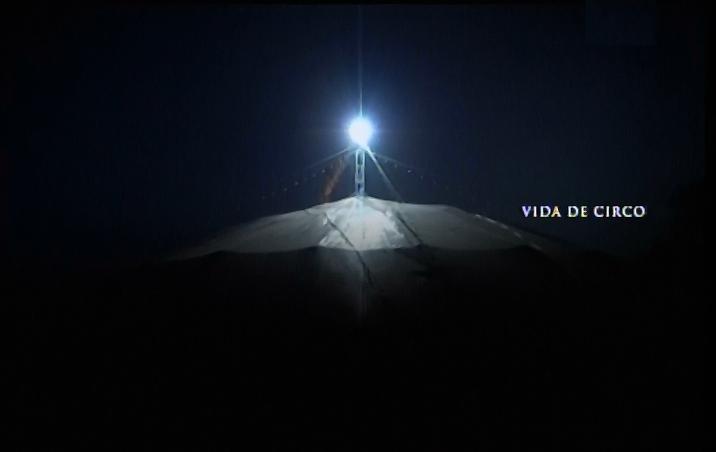 Vida de circo