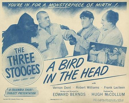 A Bird in the Head (AKA The Three Stooges: A Bird in the Head) (C)
