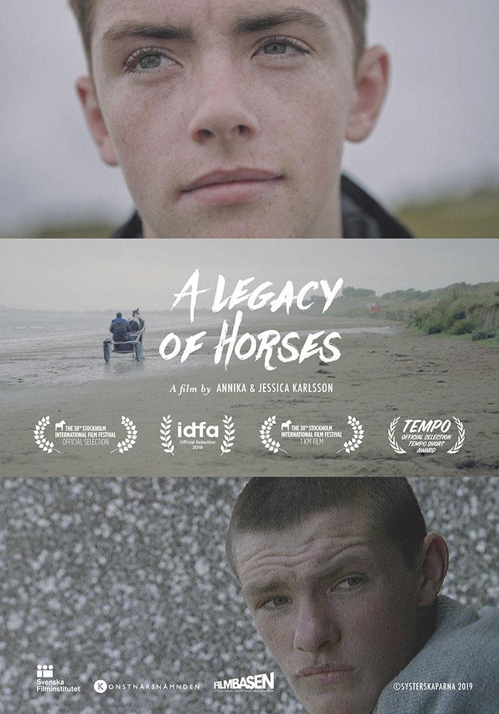 A Legacy Of Horses (C)