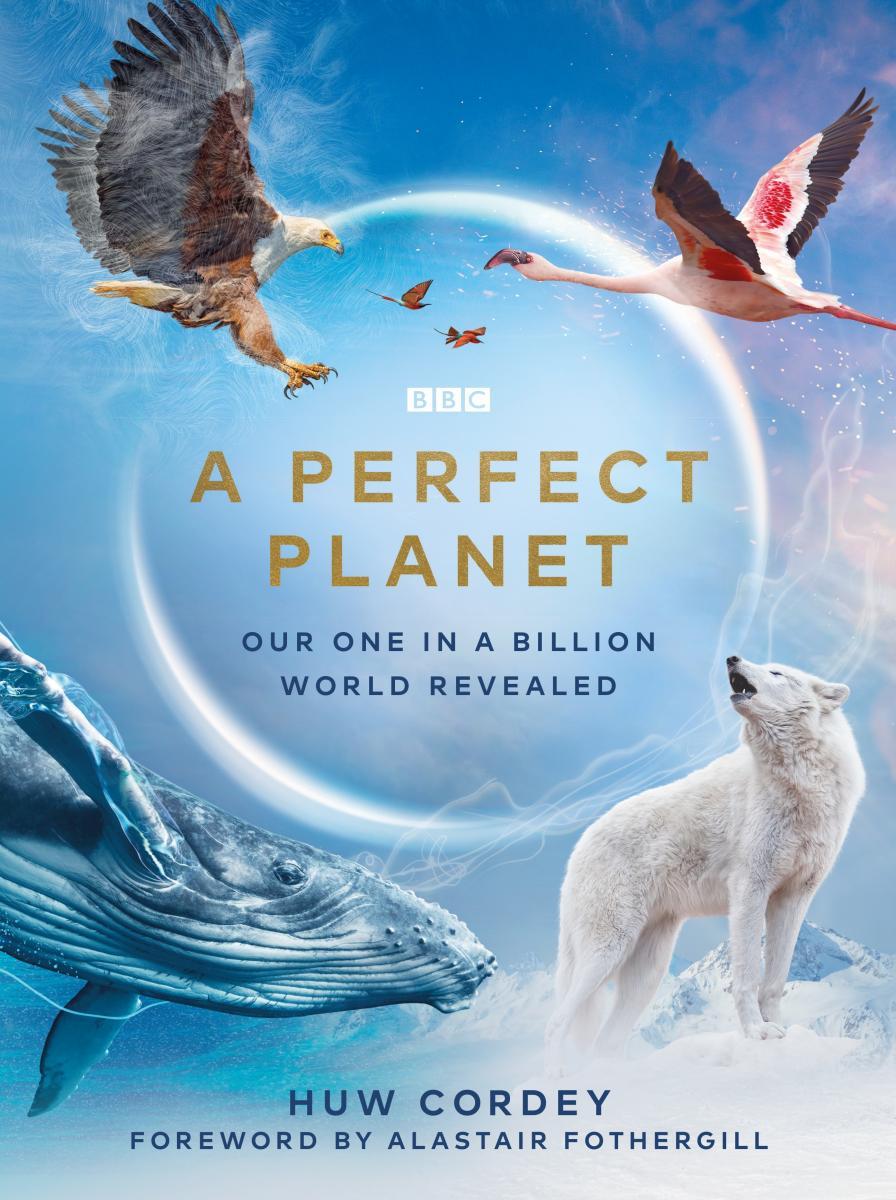 Un planeta perfecto (Miniserie de TV)