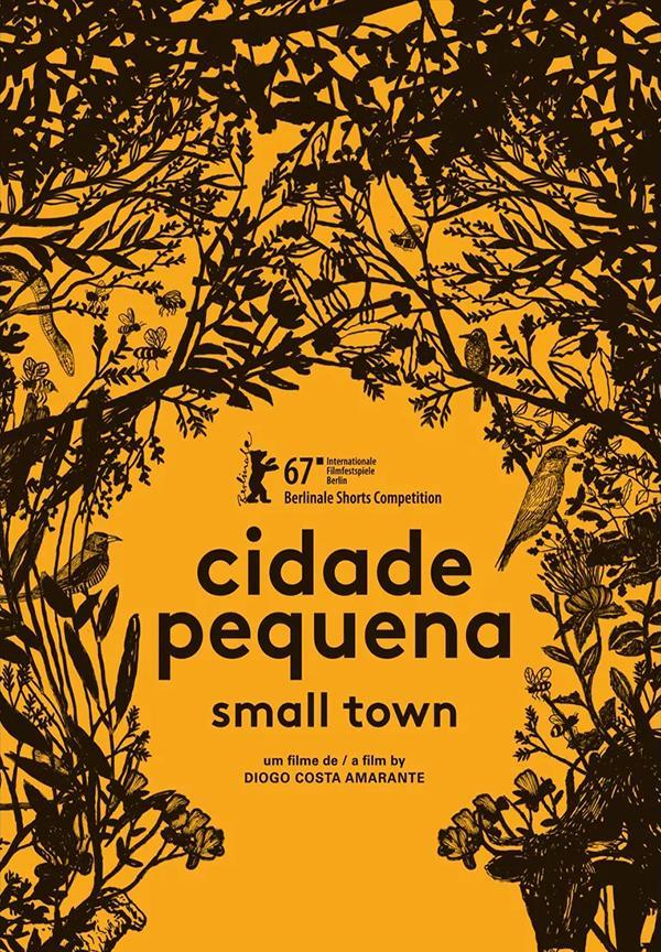 Cidade pequena (C)