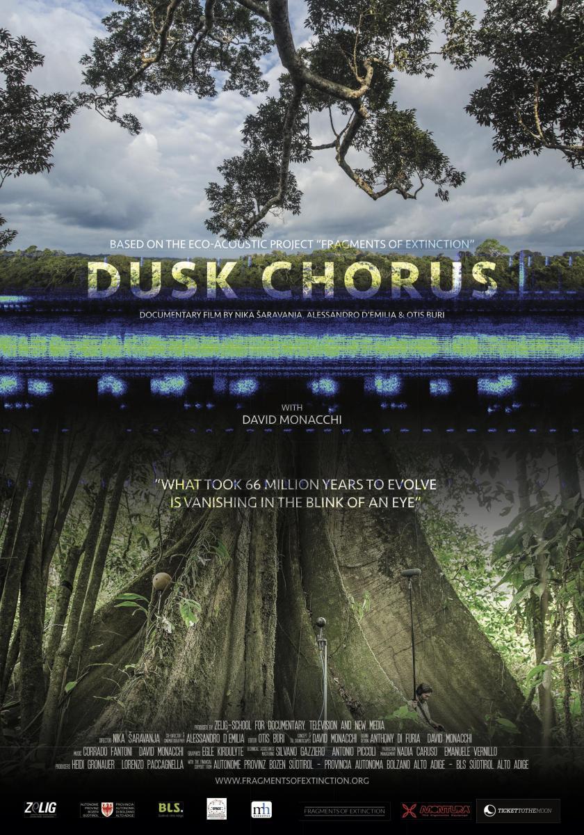 Dusk Chorus