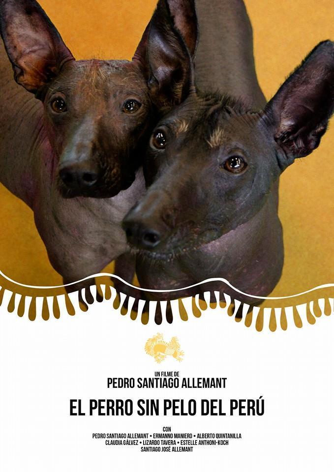 El perro sin pelo del Perú
