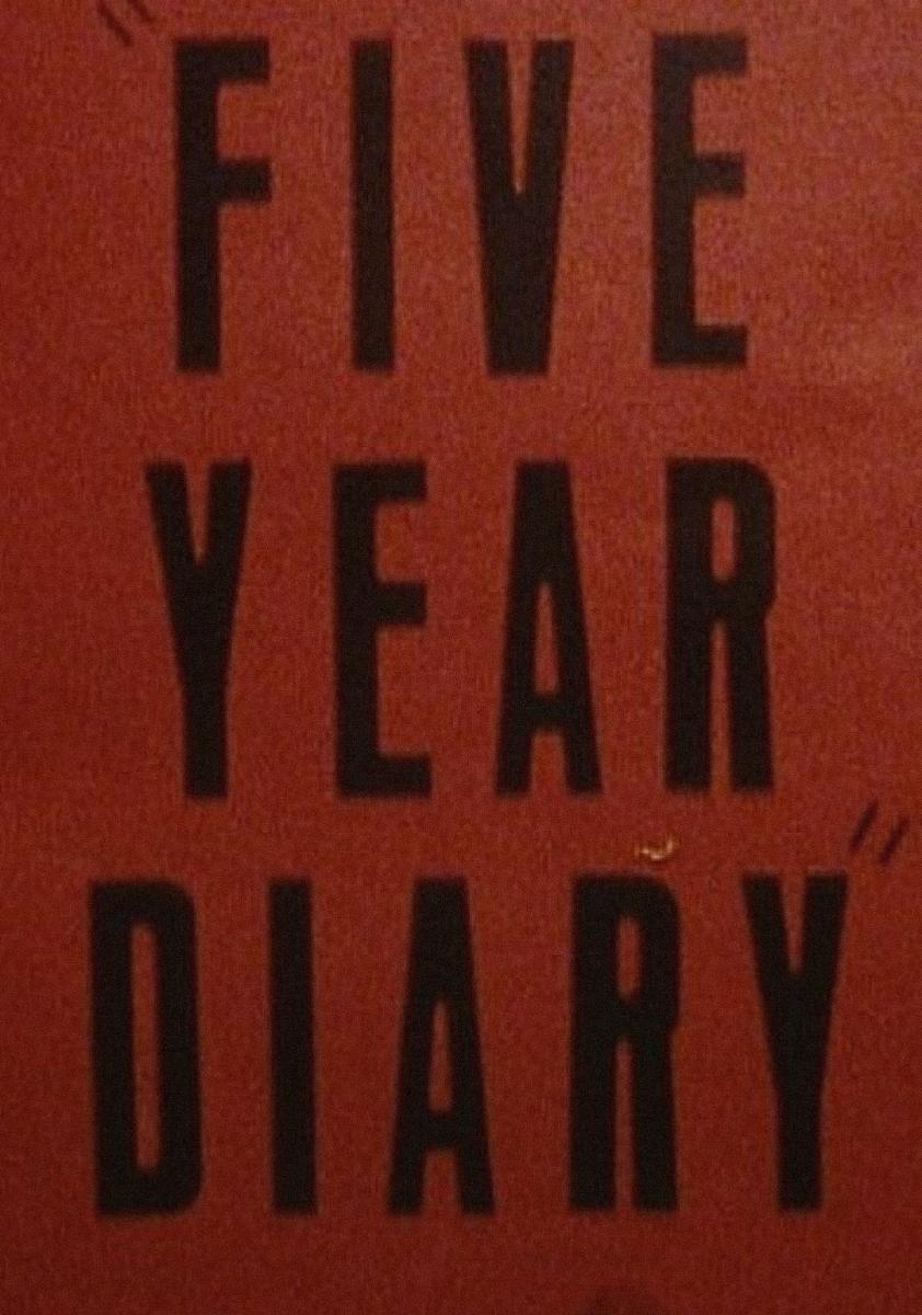 Five Year Diary ? Reel 23: A Breakdown (and) After the Mental Hospital