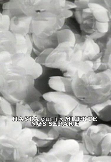 Hasta que la muerte nos separe (TV)