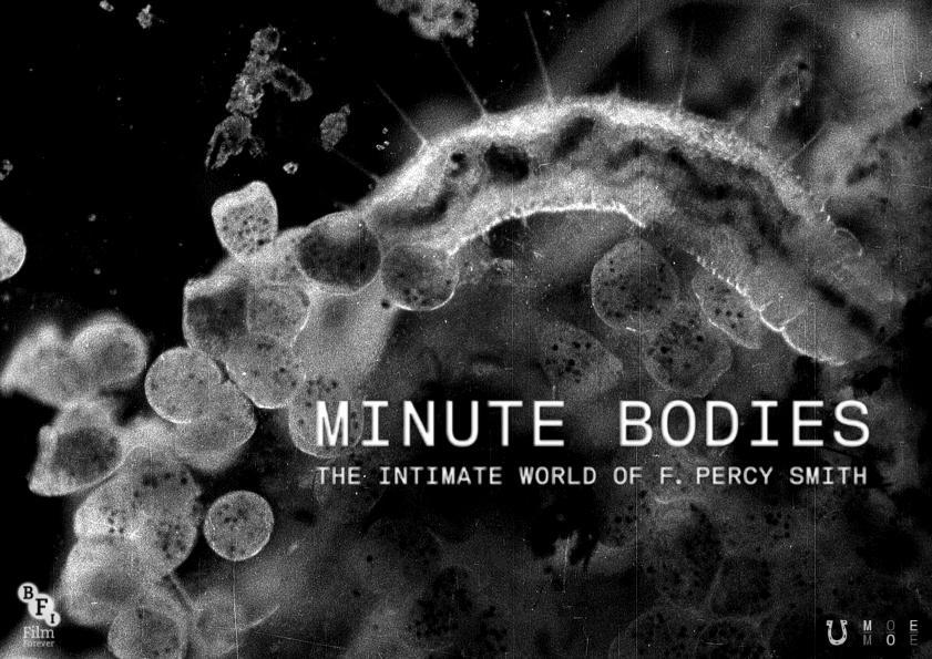 Minute Bodies: The Intimate World of F. Percy Smith