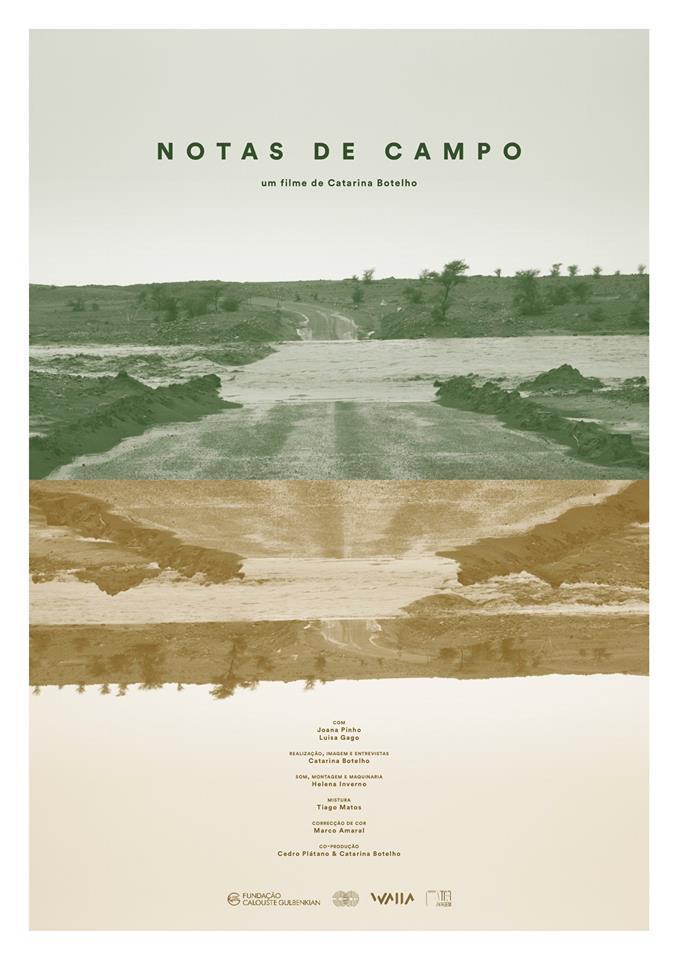 Notas de Campo