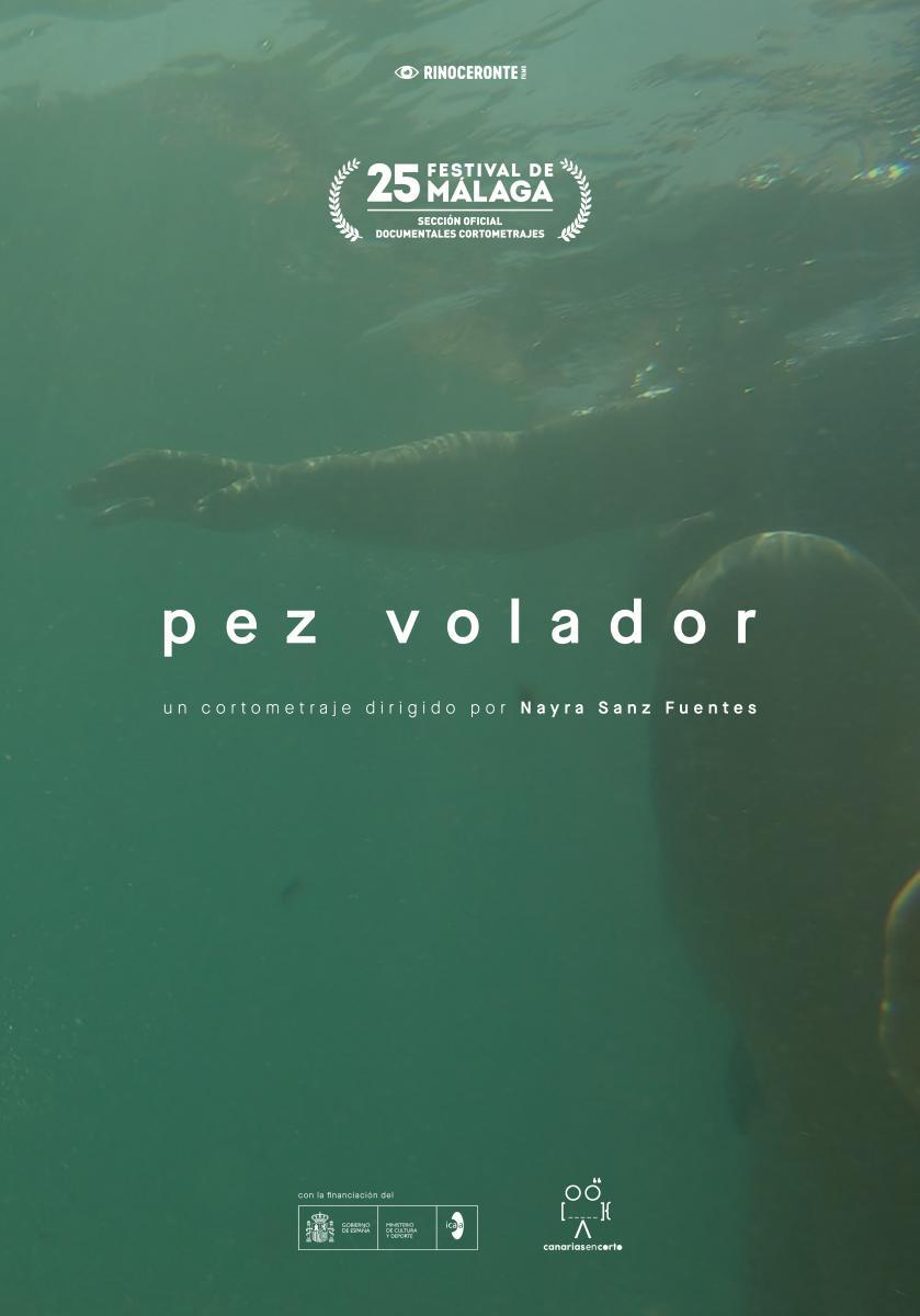 Pez volador (C)