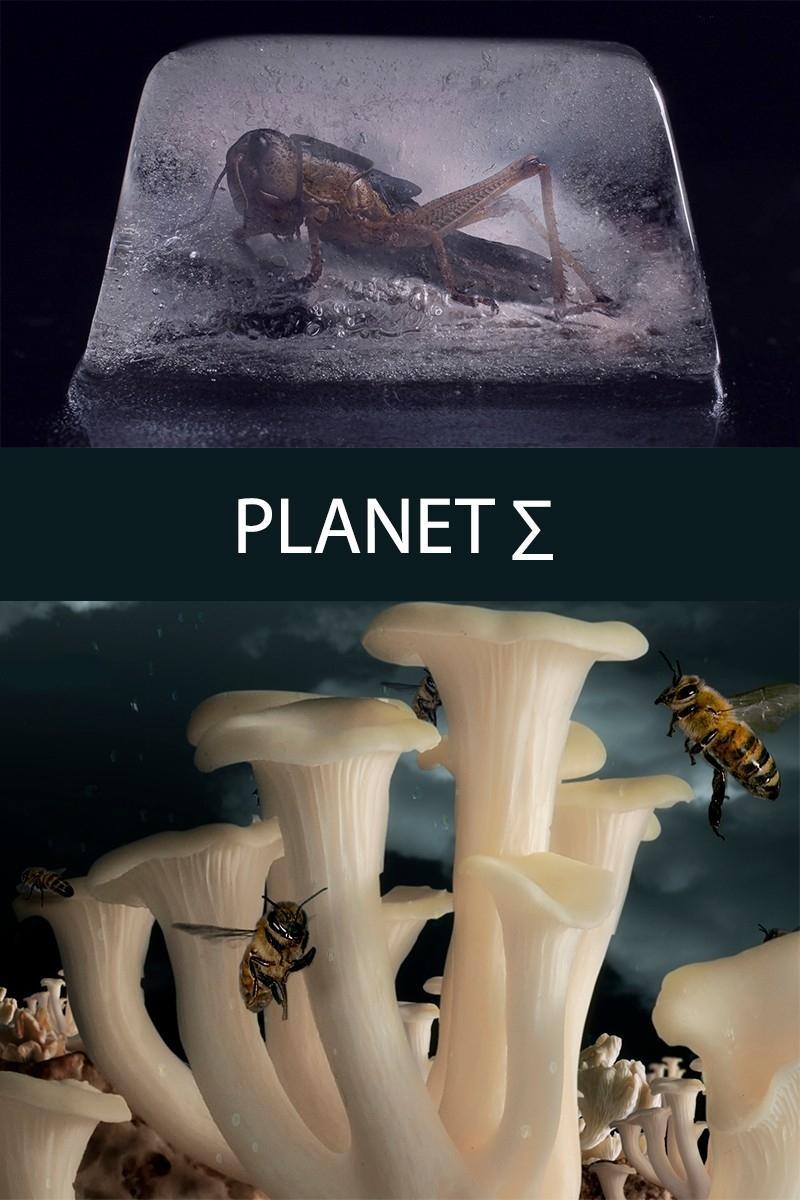 Planet Sigma (C)