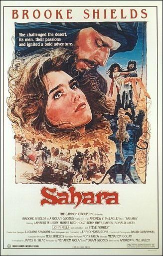 Aventuras en el Sahara