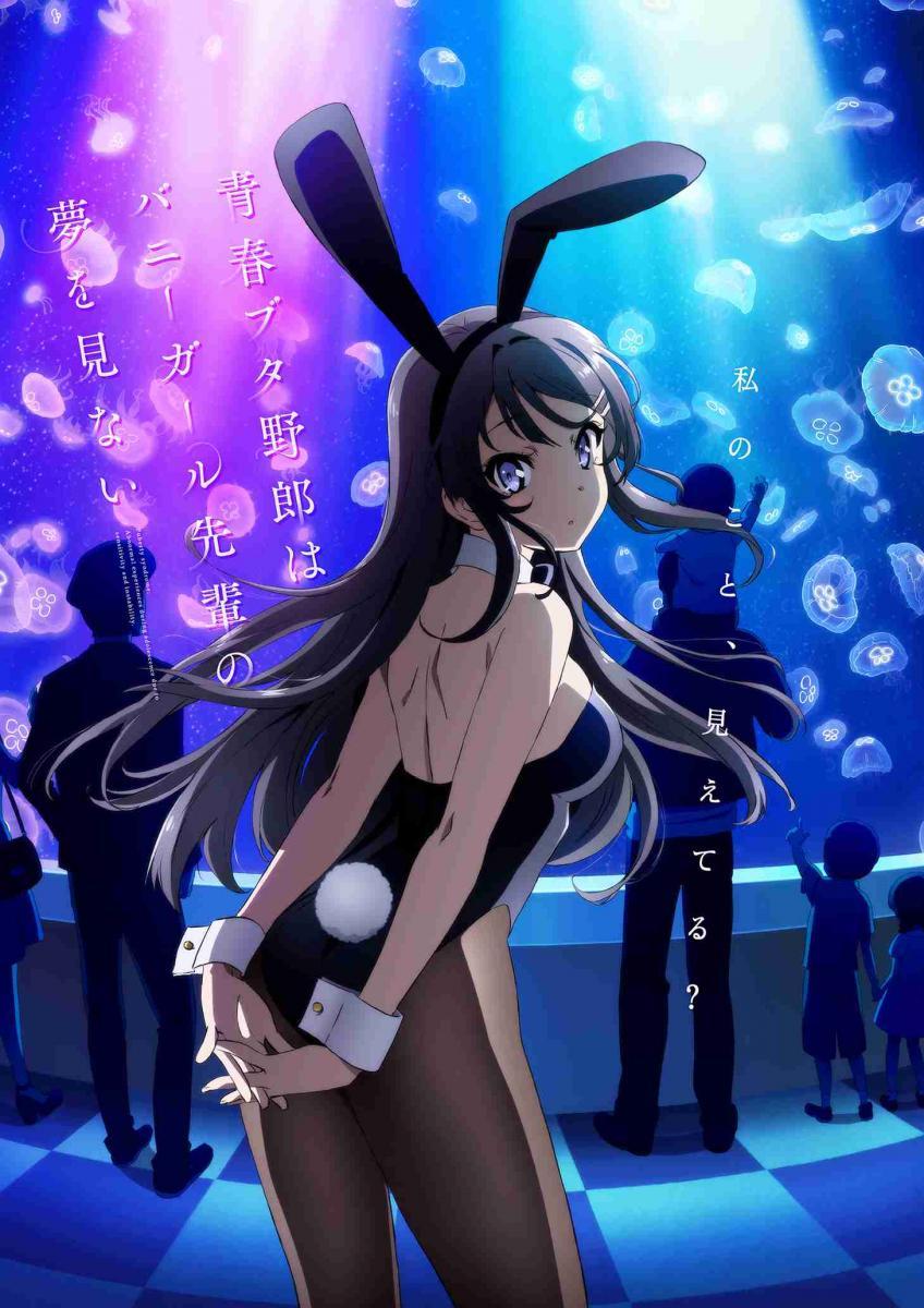 Rascal Does Not Dream of Bunny Girl Senpai (Serie de TV)