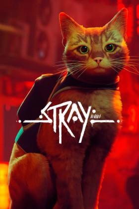 Stray