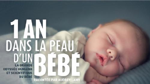 Un año en la piel de un bebé (TV)