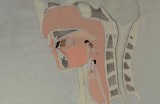 A Manipulated Man