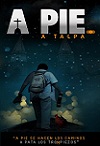 A pie