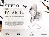 A vuelo de pajarito