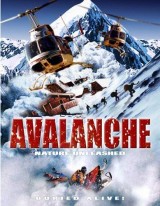 Avalancha: Pánico en la cumbre
