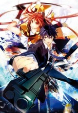 Black Bullet (Serie de TV)