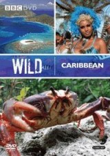 Caribe salvaje (TV)