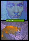 Cat Effekt