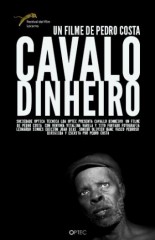 Cavalo Dinheiro