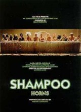 Cuernos de espuma (Shampoo Horns)