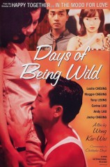 Days of Being Wild (Días Salvajes)