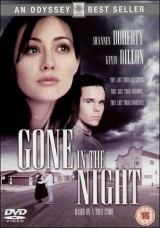 Desaparecida en la noche (TV)