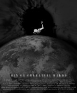Din of Celestial Birds