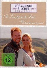 Donde vayas tú (TV)