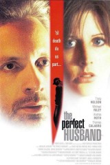 El marido perfecto (TV)
