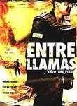 Entre llamas (Into the Flames)