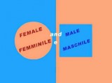 Femenino y Masculino
