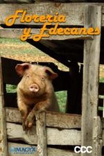 Florería y edecanes