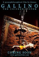 Gallino, the Chicken System