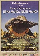 Gato negro, gato blanco