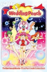 Hada nupcial (Serie de TV)