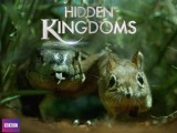 Hidden Kingdoms (TV)