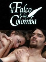 Il falco e la colomba (TV)