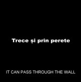 It Can Pass Through the Wall (C)