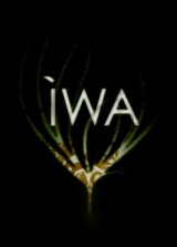 Iwa